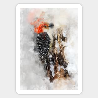 Woodpecker watercolour painting Sticker